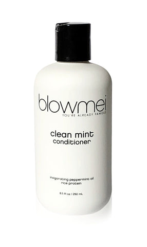 Blowmei - Conditioner - Clean Mint - 8.5oz - B.B. USA Online Store