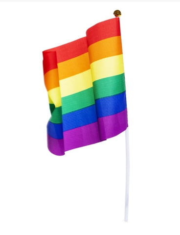 Mini Pride Flag - B.B. USA Online Store